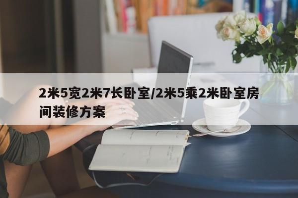 2米5宽2米7长卧室/2米5乘2米卧室房间装修方案