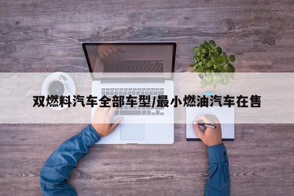 双燃料汽车全部车型/最小燃油汽车在售