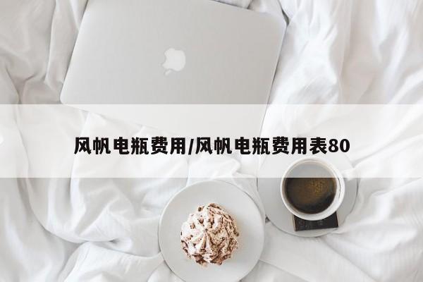 风帆电瓶费用/风帆电瓶费用表80