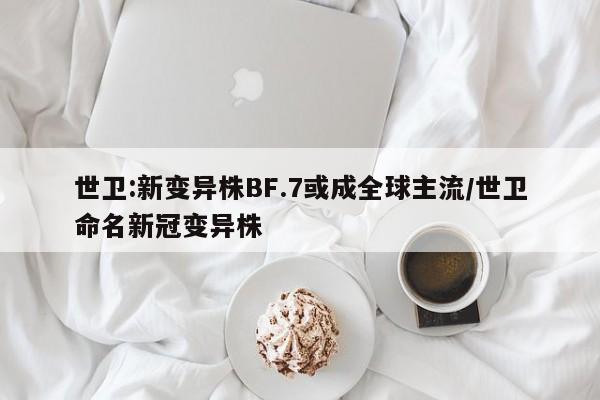 世卫:新变异株BF.7或成全球主流/世卫命名新冠变异株