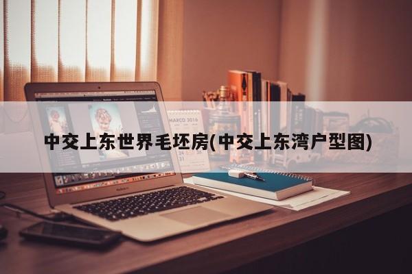 中交上东世界毛坯房(中交上东湾户型图)