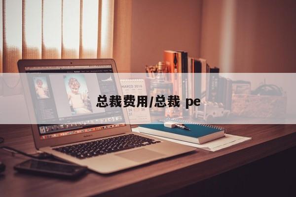 总裁费用/总裁 pe