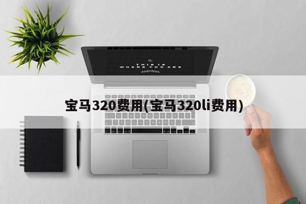 宝马320费用(宝马320li费用)