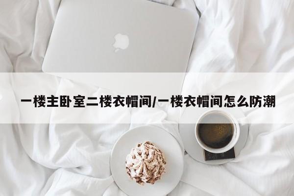 一楼主卧室二楼衣帽间/一楼衣帽间怎么防潮