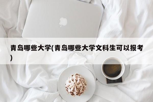 青岛哪些大学(青岛哪些大学文科生可以报考)