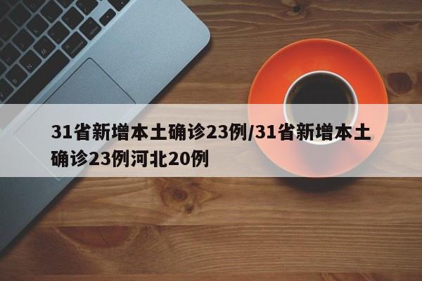 31省新增本土确诊23例/31省新增本土确诊23例河北20例