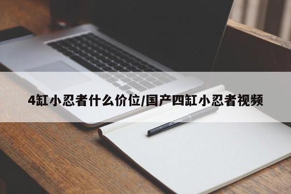 4缸小忍者什么价位/国产四缸小忍者视频