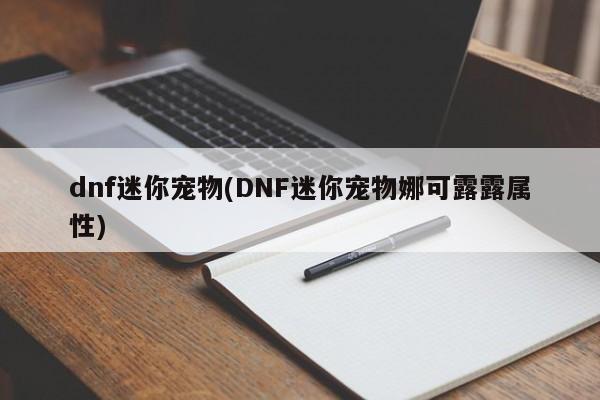 dnf迷你宠物(DNF迷你宠物娜可露露属性)