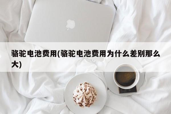 骆驼电池费用(骆驼电池费用为什么差别那么大)