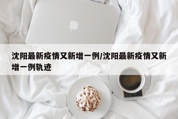 沈阳最新疫情又新增一例/沈阳最新疫情又新增一例轨迹