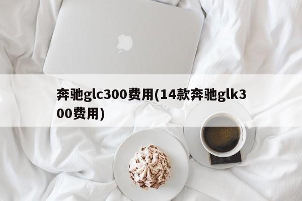 奔驰glc300费用(14款奔驰glk300费用)