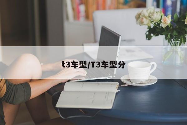 t3车型/T3车型分