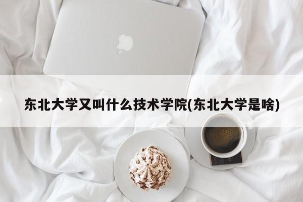 东北大学又叫什么技术学院(东北大学是啥)