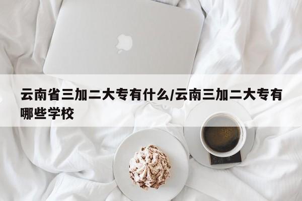 云南省三加二大专有什么/云南三加二大专有哪些学校