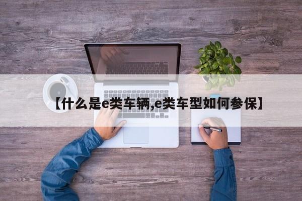 【什么是e类车辆,e类车型如何参保】