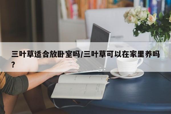 三叶草适合放卧室吗/三叶草可以在家里养吗?