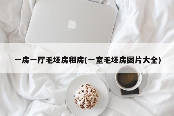 一房一厅毛坯房租房(一室毛坯房图片大全)
