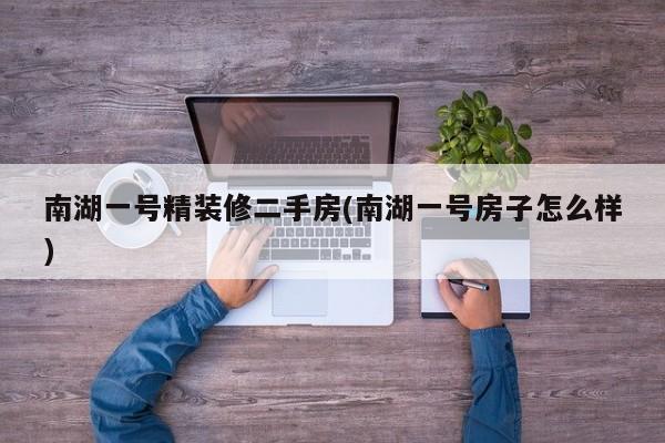 南湖一号精装修二手房(南湖一号房子怎么样)
