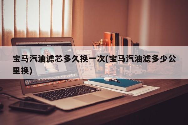 宝马汽油滤芯多久换一次(宝马汽油滤多少公里换)