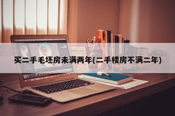 买二手毛坯房未满两年(二手楼房不满二年)
