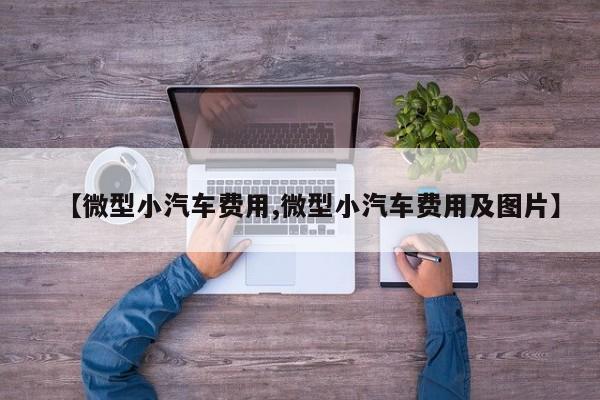 【微型小汽车费用,微型小汽车费用及图片】