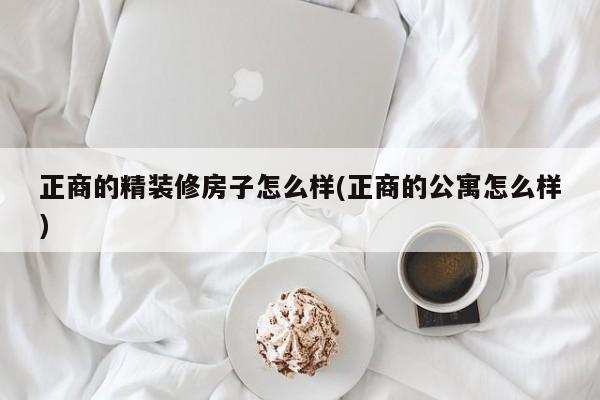 正商的精装修房子怎么样(正商的公寓怎么样)