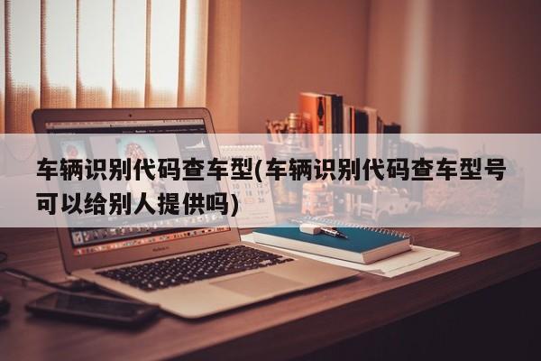车辆识别代码查车型(车辆识别代码查车型号可以给别人提供吗)