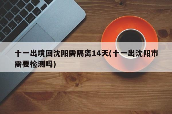 十一出境回沈阳需隔离14天(十一出沈阳市需要检测吗)