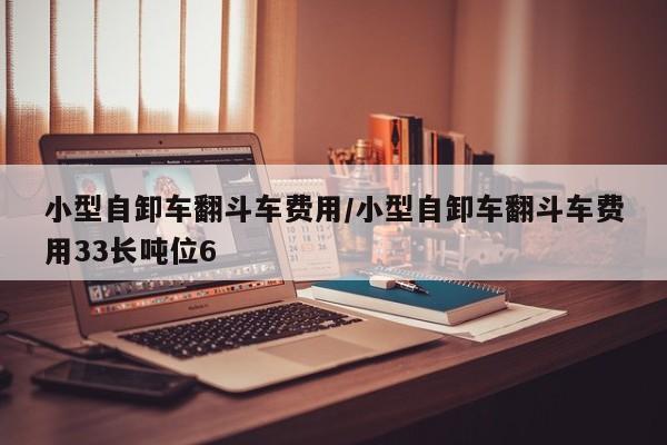 小型自卸车翻斗车费用/小型自卸车翻斗车费用33长吨位6