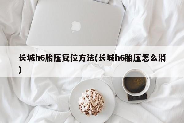 长城h6胎压复位方法(长城h6胎压怎么消)