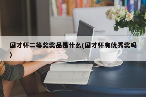 国才杯二等奖奖品是什么(国才杯有优秀奖吗)
