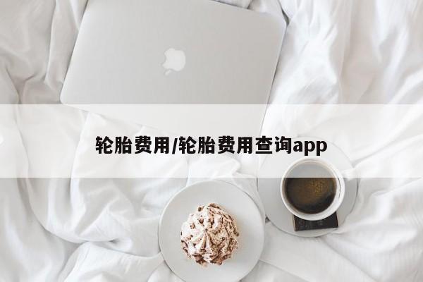 轮胎费用/轮胎费用查询app