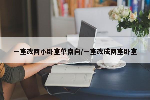一室改两小卧室单南向/一室改成两室卧室